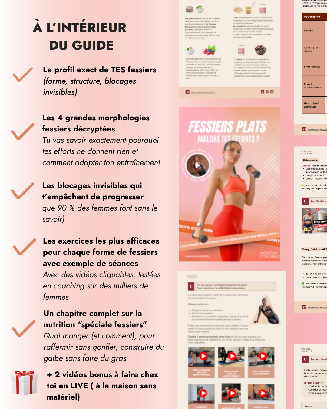 FESSIERS — ce qui est inclus